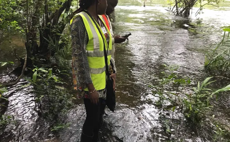  Environmental Services